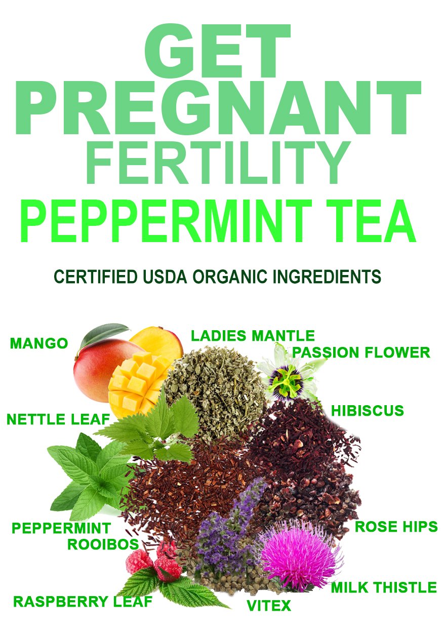 Fertility Tea For Women- Peppermint 40 Cups- USDA Organic