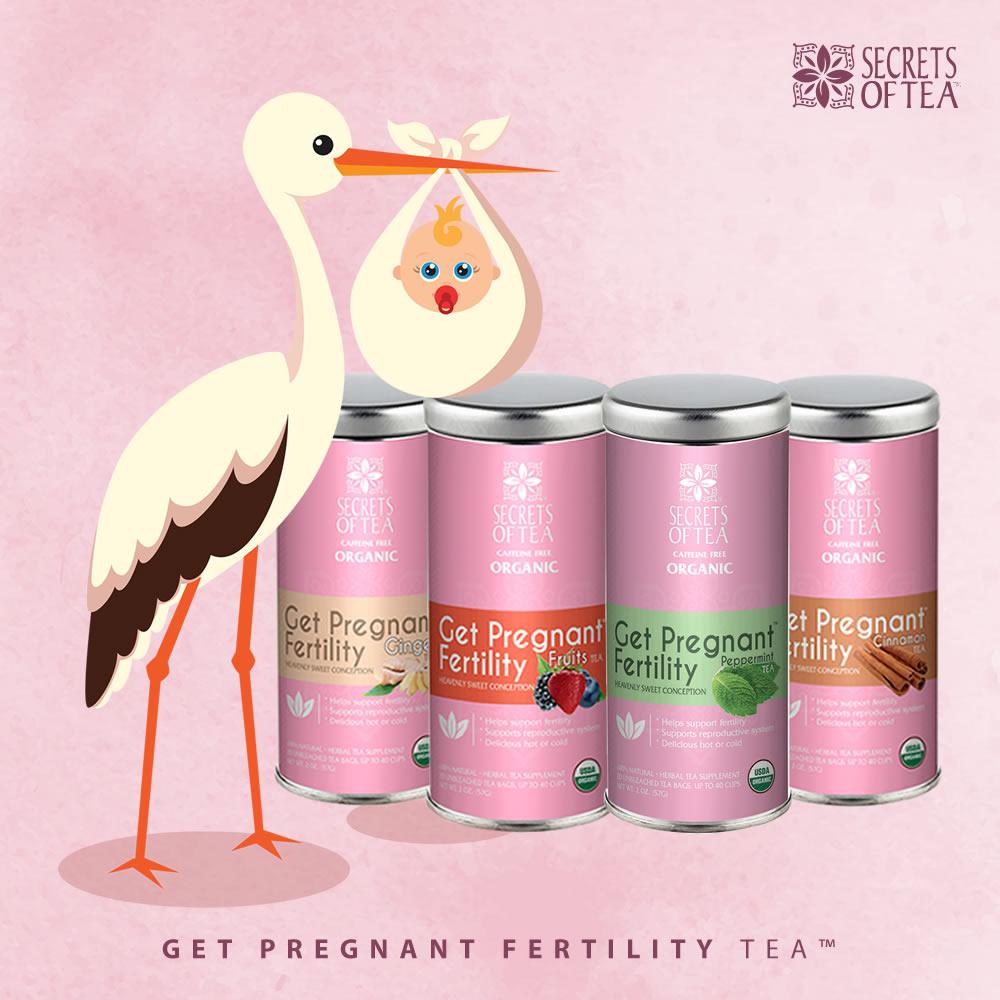 Fertility Tea For Women- Peppermint 40 Cups- USDA Organic