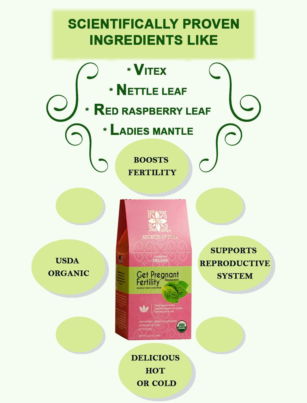 Fertility Tea For Women- Peppermint 40 Cups- USDA Organic